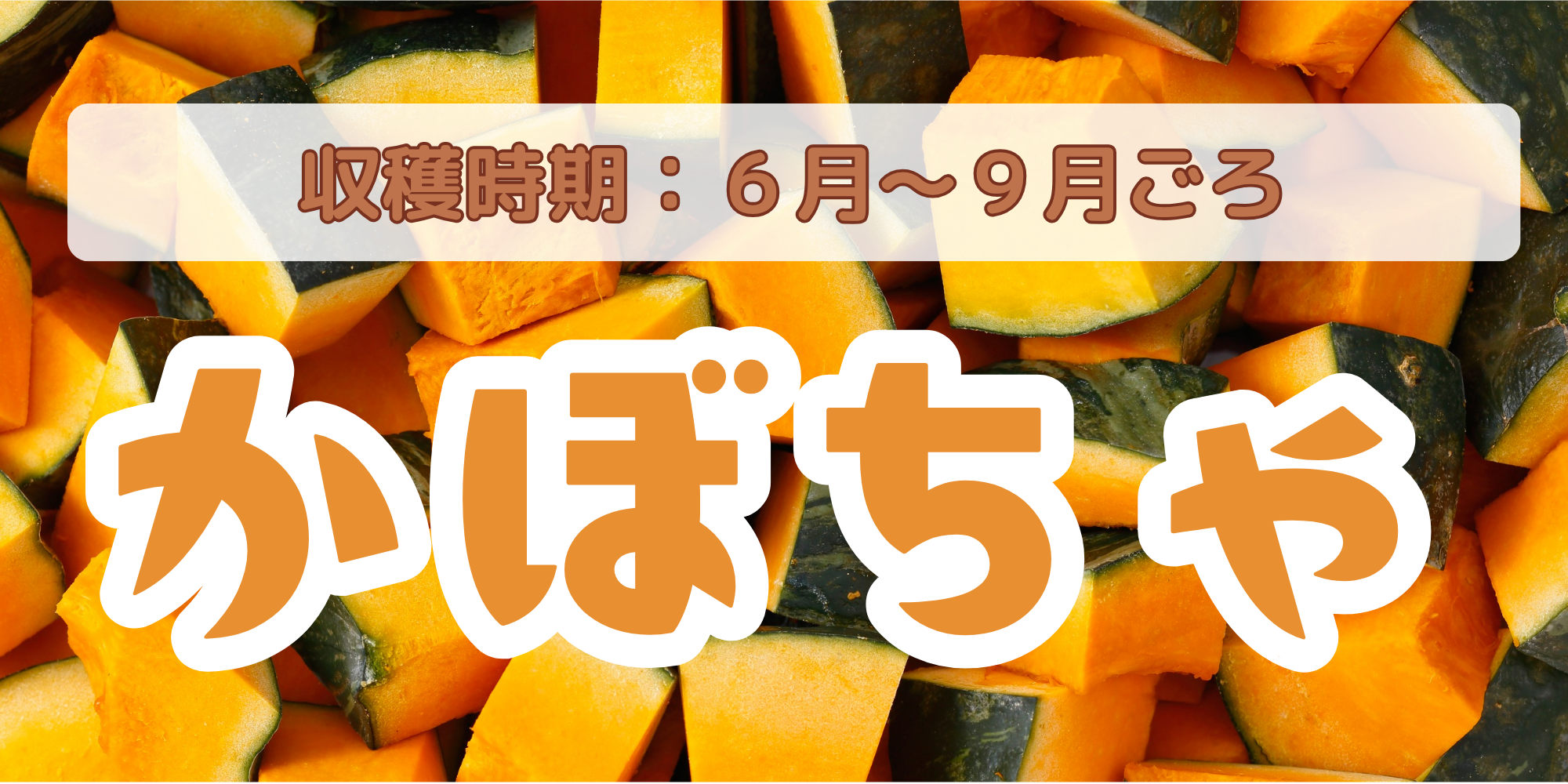 かぼちゃ